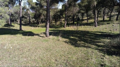 https://majadahondain.es/media/noticias/fotos/pr/2025/12/02/la-dehesa-majadahonda_thumb.jpg
