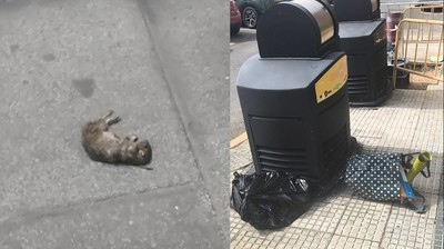 /media/noticias/fotos/pr/2026/07/24/suciedad_thumb.jpg